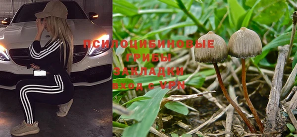 соль курить ск Заволжье